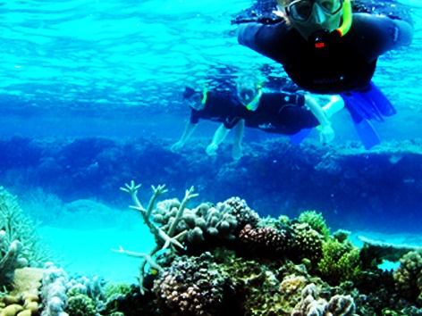 Boat Snorkelling