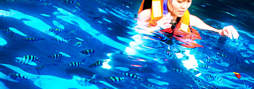 Slideshow: Snorkeling