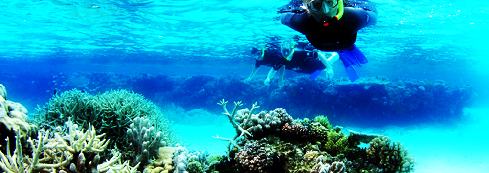 Slideshow: Snorkeling